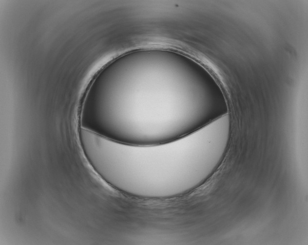 X0000111871480200907231141