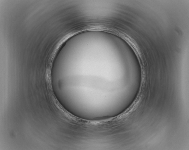 X0000111871481200907231141