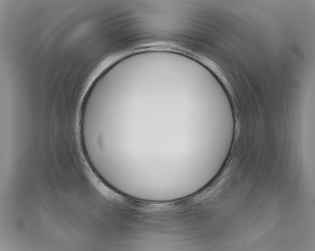 X0000111871482200907231141