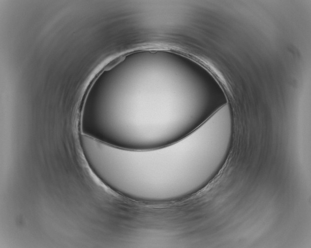 X0000111871484200907231141