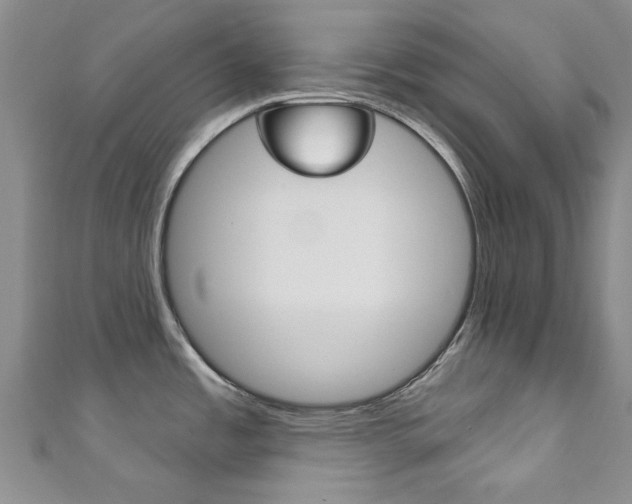 X0000111871485200907231141