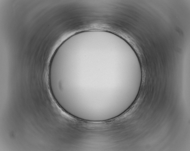 X0000111871486200907231141
