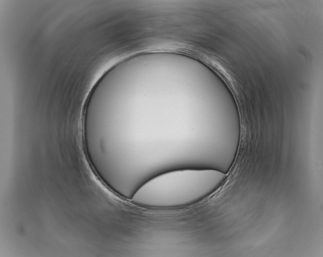 X0000111871487200907231141