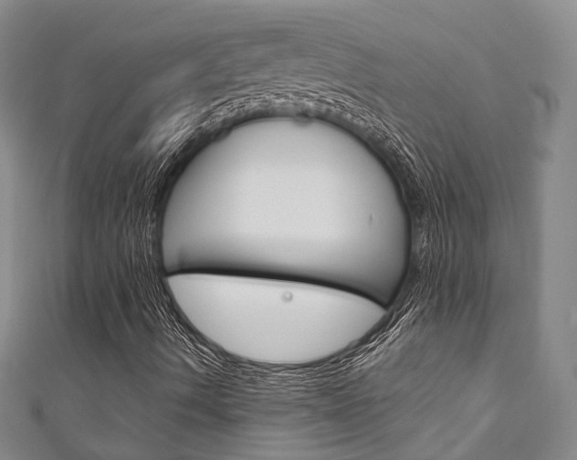 X0000111871490200907231140