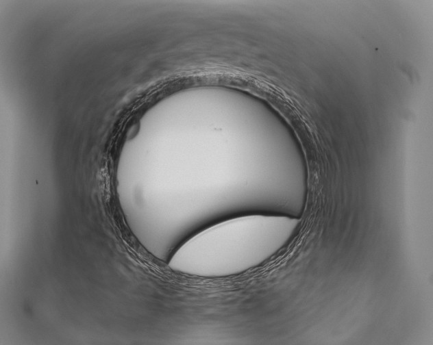 X0000111871493200907231140