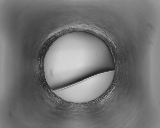 X0000111871494200907231140