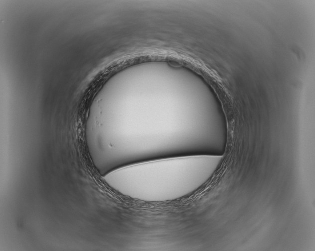 X0000111871495200907231140