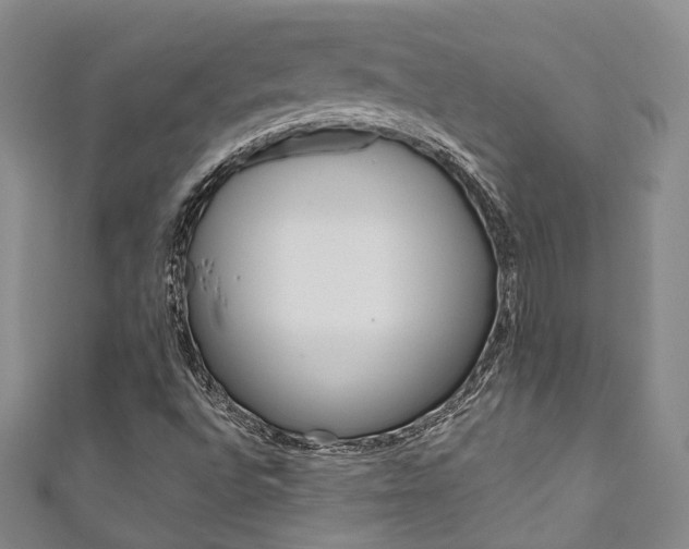 X0000111871496200907231140