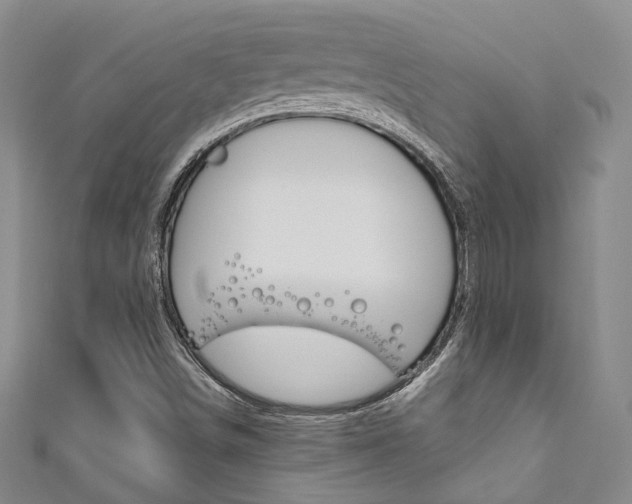X0000111871498200907231140
