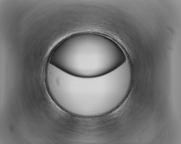 X0000111871500200907231140