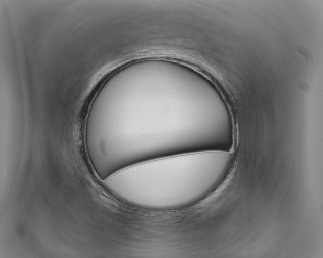 X0000111871501200907231140