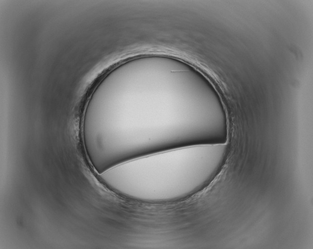 X0000111871503200907231140