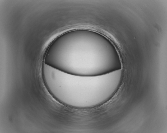 X0000111871504200907231140