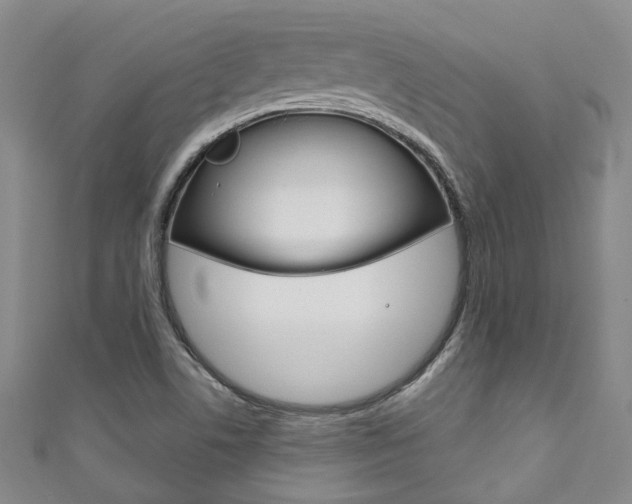 X0000111871506200907231140