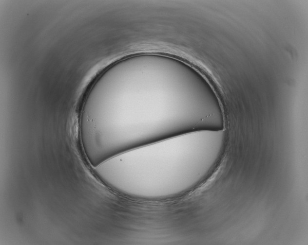 X0000111871509200907231140
