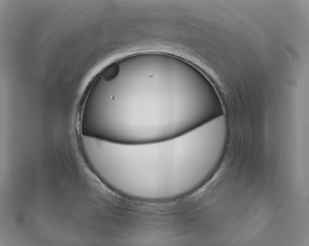 X0000111871510200907231140