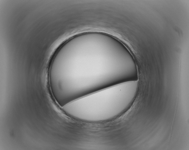 X0000111871511200907231140