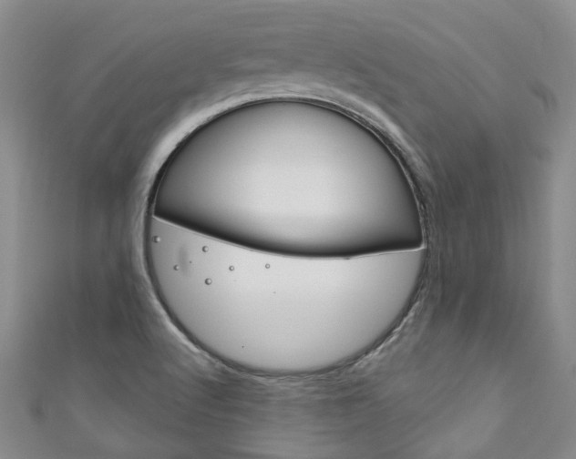 X0000111871512200907231140