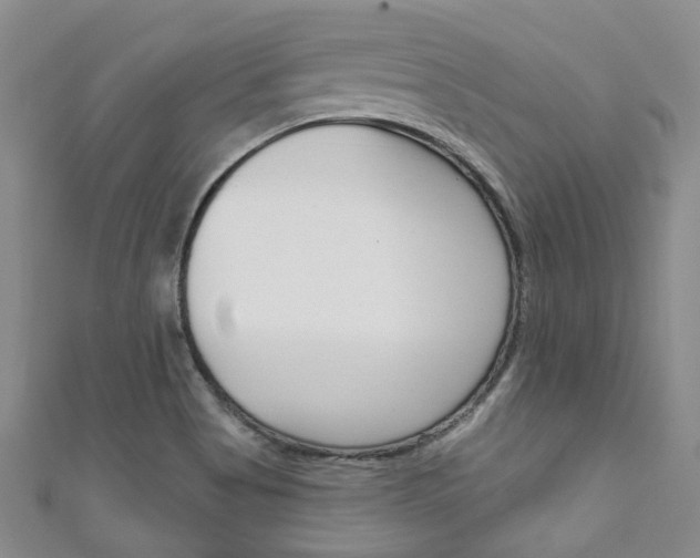 X0000111871513200907231140