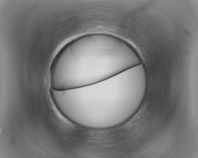 X0000111871515200907231141