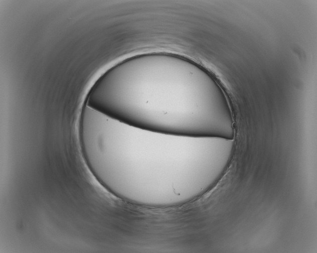 X0000111871516200907231141