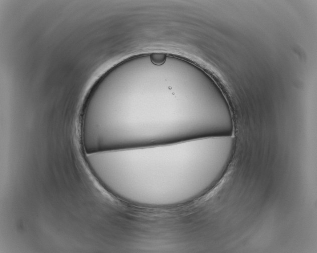 X0000111871517200907231141
