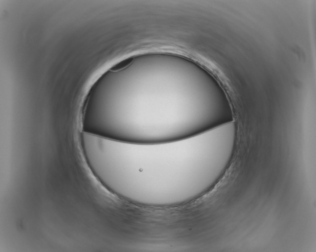 X0000111871520200907231141