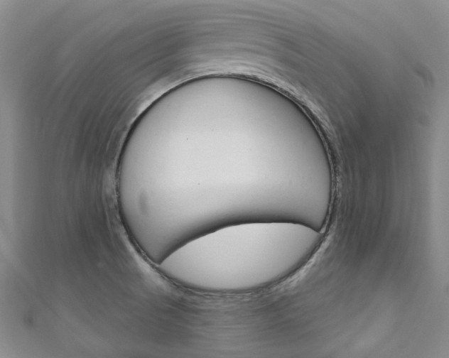 X0000111871521200907231141