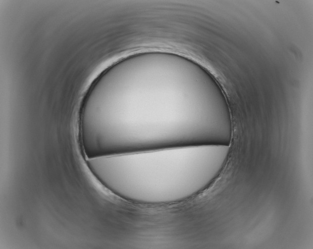 X0000111871523200907231141