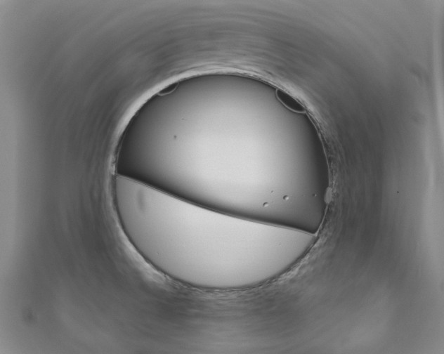 X0000111871524200907231141
