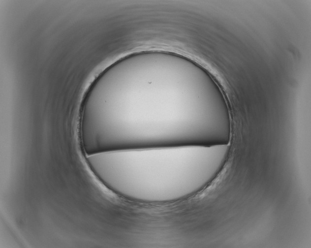 X0000111871525200907231141