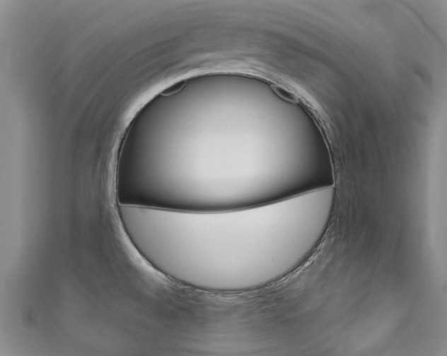 X0000111871528200907231141