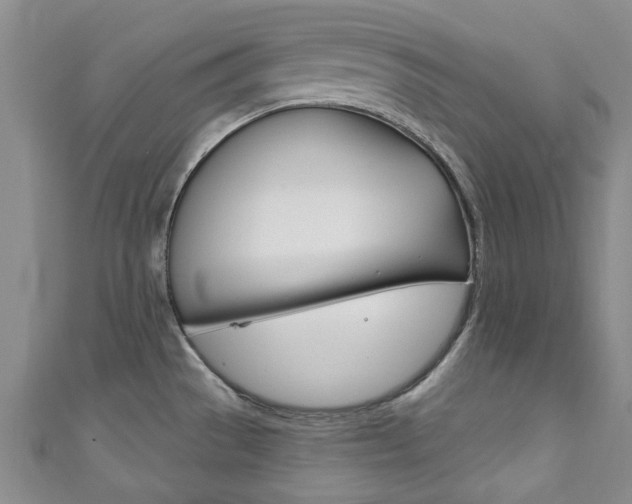 X0000111871529200907231141