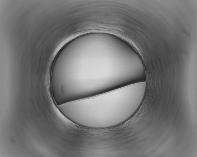 X0000111871531200907231141