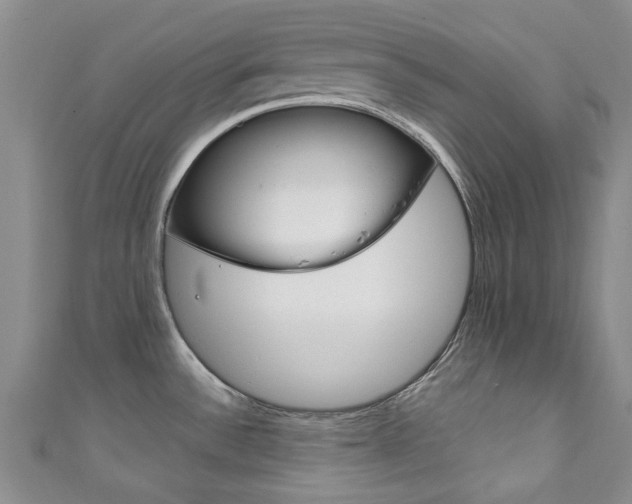 X0000111871532200907231141