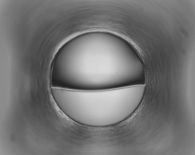 X0000111871534200907231141