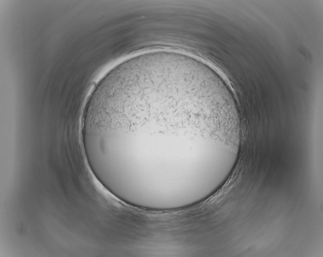 X0000111871535200907231141