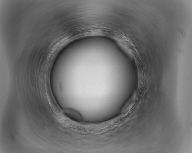 X0000111870001200907231522