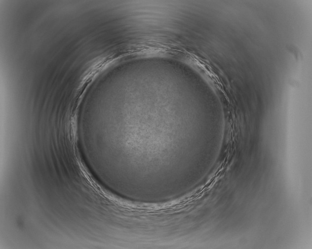 X0000111870002200907231522