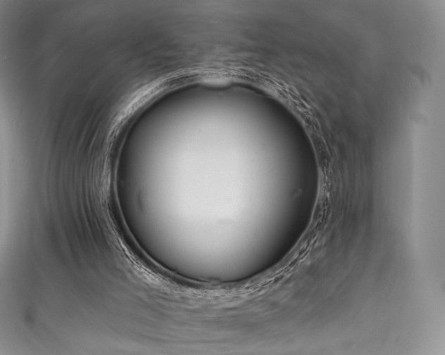X0000111870005200907231522
