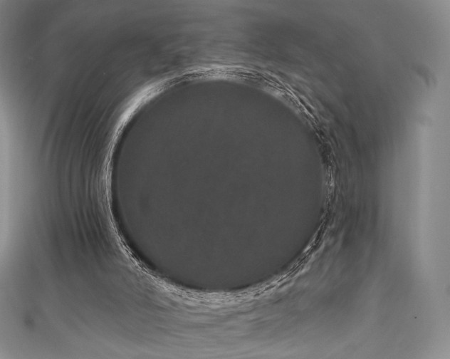 X0000111870006200907231522