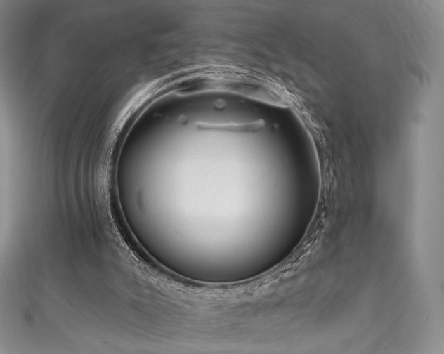 X0000111870007200907231522