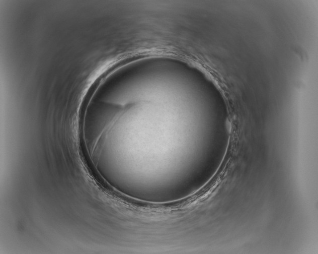 X0000111870008200907231522