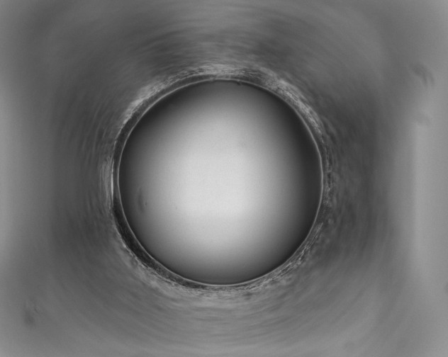 X0000111870011200907231522