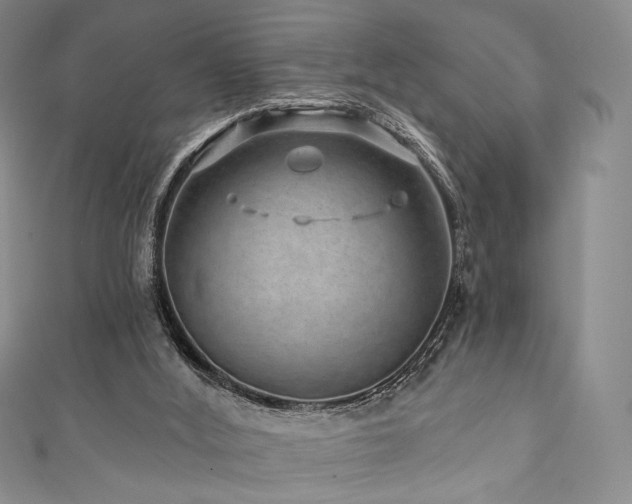 X0000111870012200907231522