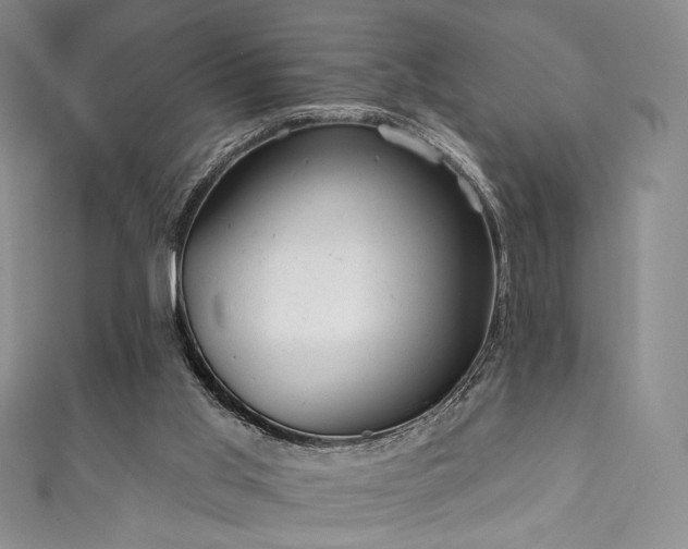 X0000111870013200907231522
