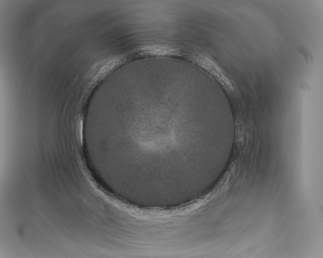 X0000111870014200907231522