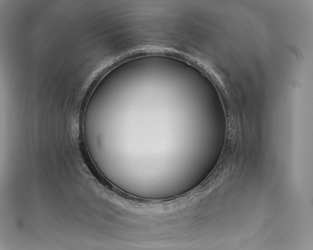 X0000111870015200907231522
