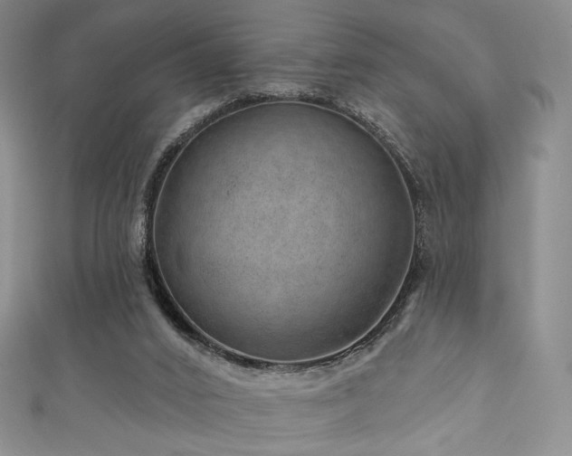 X0000111870016200907231522