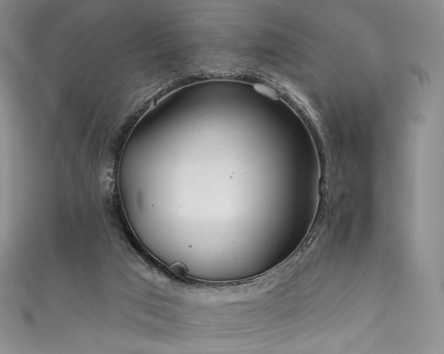 X0000111870017200907231522